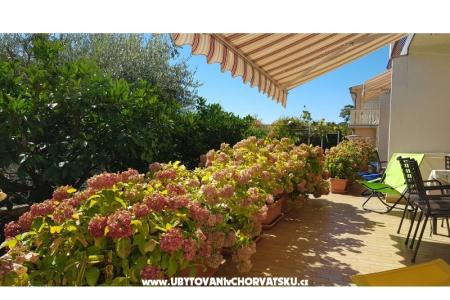 Apartmány Krk-Hydrangea foto 5