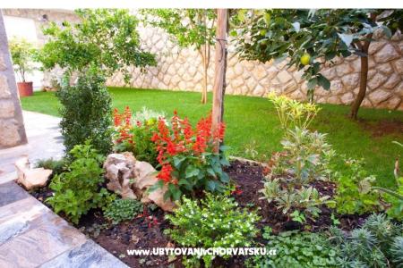 Lucia Apartmány foto 5