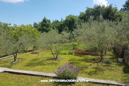 Apartmány Mariela foto 4