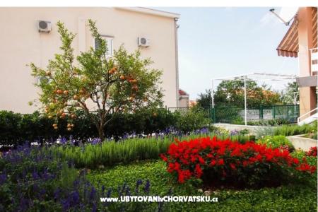 Apartmány Vrpolje  foto 2