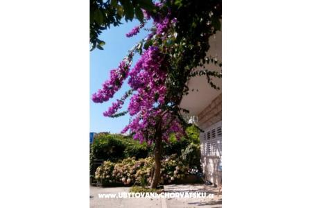 Apartmány Jele foto 2