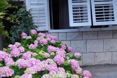 Apartmány Jele foto 4