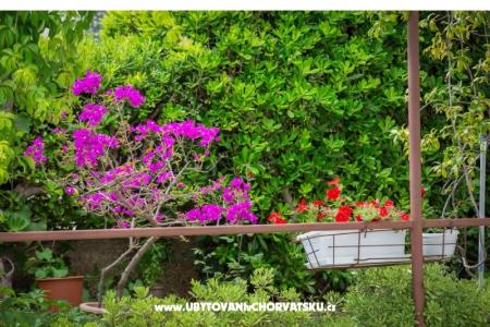 Apartmány Daniela Makarska foto 3