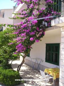Apartmány Villa Luce foto 2