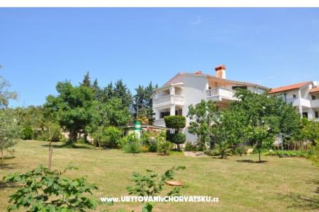 Alex 1 i Alex 2 foto 2