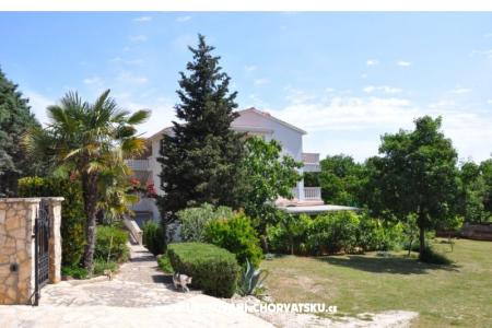 Alex 1 i Alex 2 foto 4