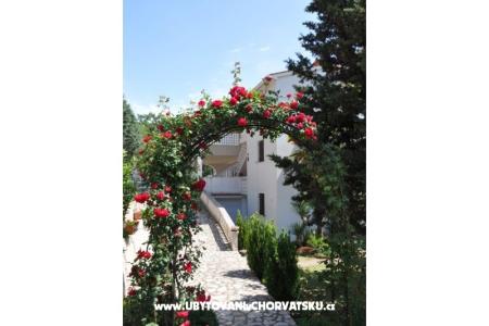 Alex 1 i Alex 2 foto 5