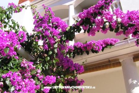 Apartmány Paloma blanca - Oaza Reg foto 2