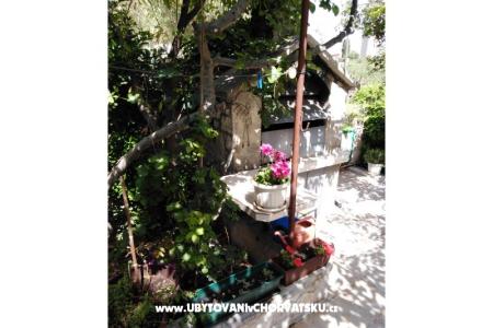 Apartmán Fifi foto 4