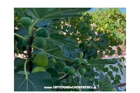 Apartmány Kovačić foto 2