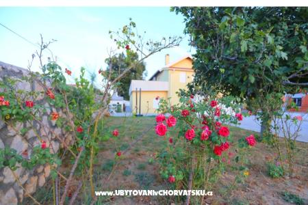 Apartmán Novak Rudic foto 2