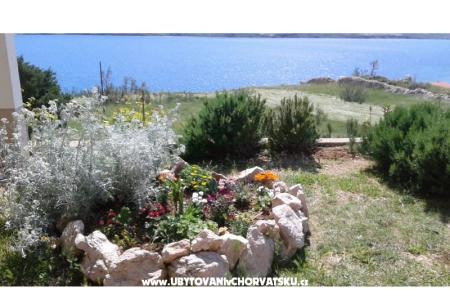 Apartmány Ante foto 5