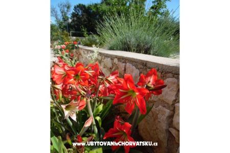 Apartmány Dabo foto 5