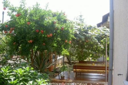 Apartmány Vošten foto 5