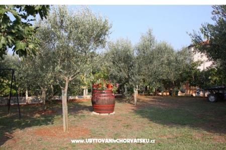 Apartmán Adriana Stancijeta foto 3