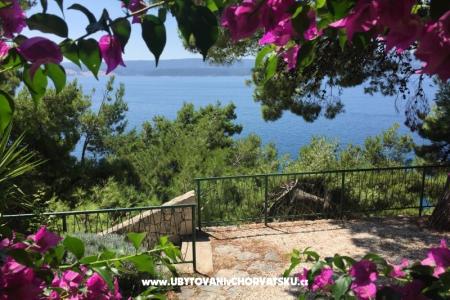 Apartmány Daniela foto 3