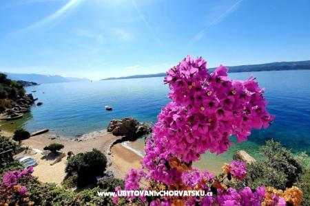 SUNandSEA30 apartments foto 3