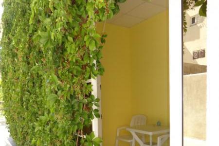 Apartmány Dominik foto 3