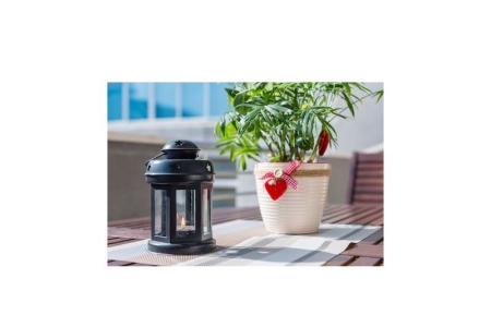 APARTMANI JELENA foto 2