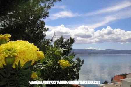 Apartmány Tice foto 5