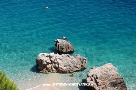 Apartmány Visnjica foto 5