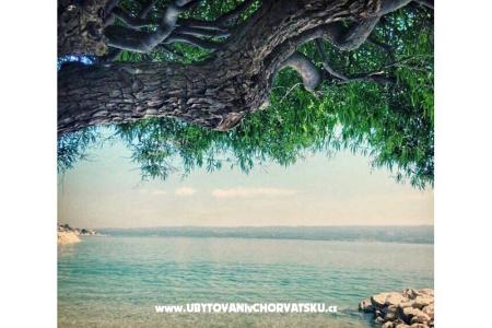 Apartmány-pansion Julija foto 4