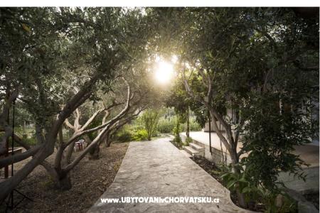 Apartmán Toni foto 3