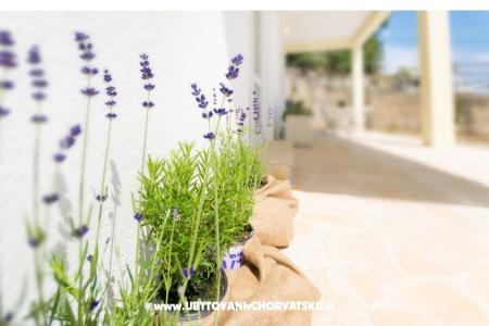 Apartmány Mara foto 5