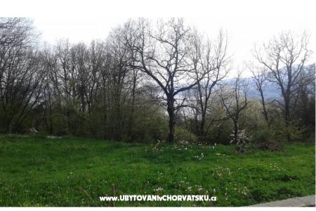 Apartmán AS ROYAL foto 4