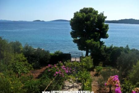 Apartmány Šurjak foto 3