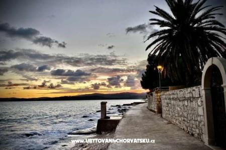 Vila Vida Orebić foto 5