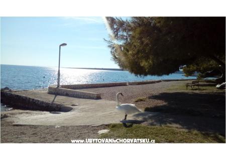 Apartmán s pogledom na more foto 3