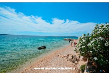 Apartmány Kamelija foto 3