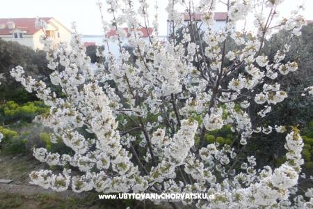 Apartmány Mara foto 2