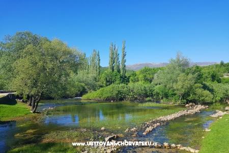 Apartmány Tomic foto 3