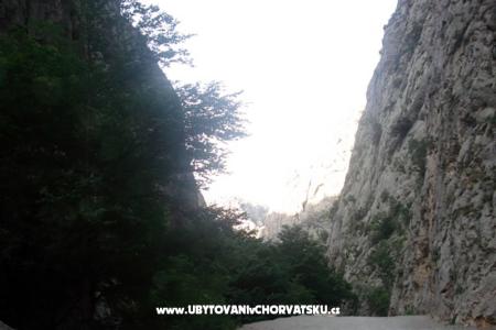 Apartmány vesela foto 5