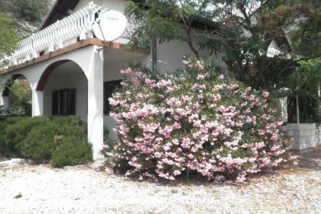 Dům k odpočinku Beli foto 2