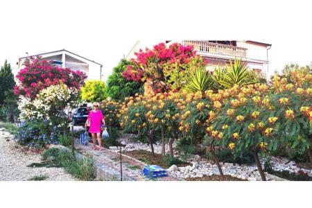 Apartmány Jadranka foto 4