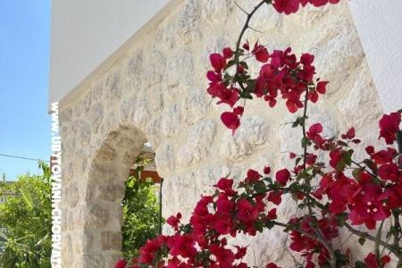 Apartmány Ksenija Pakoštane Chorvatsko