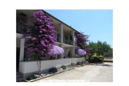 Apartmány Pipi foto 3