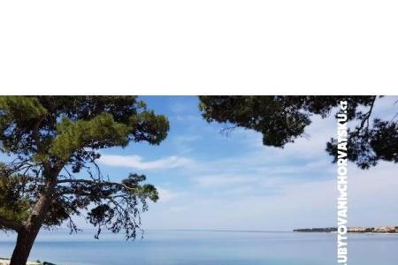 Apartmány Ivan  foto 5