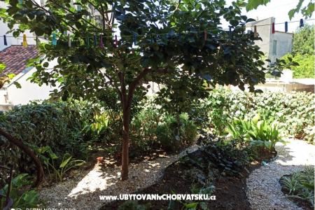 Apartmány Flora foto 2