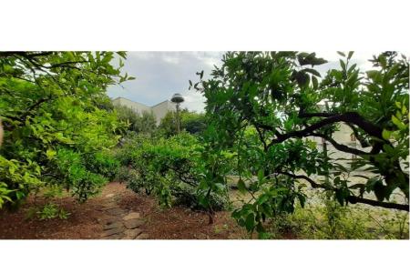 Apartmány Mila foto 3