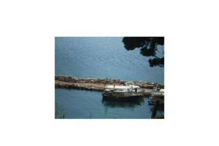 Apartmány Antonela foto 4