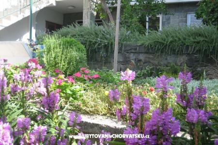 Apartmány Draga foto 3