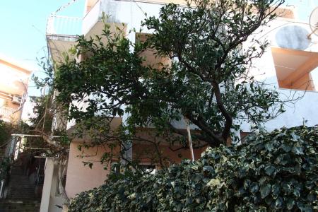 Olga apartmani foto 3