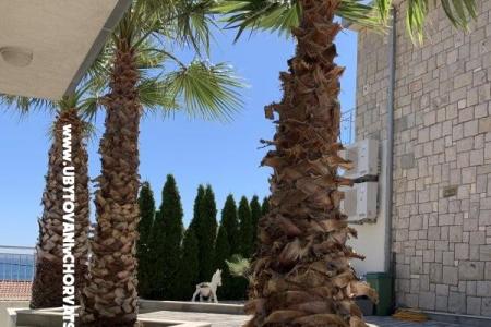 Apartmány Botuš foto 3