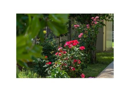 Apartmány Stanic foto 5