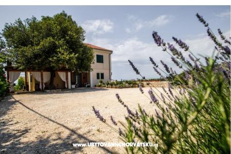 Apartmány Andreja Primošten Chorvatsko