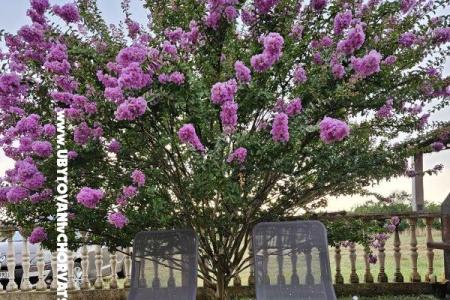 Kristina Apartmány foto 3